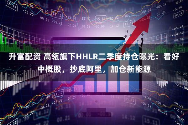 升富配资 高瓴旗下HHLR二季度持仓曝光：看好中概股，抄底阿里，加仓新能源
