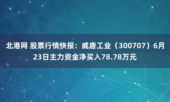 北港网 股票行情快报：威唐工业（300707）6月23日主力资金净买入78.78万元