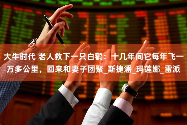 大牛时代 老人救下一只白鹳：十几年间它每年飞一万多公里，回来和妻子团聚_斯捷潘_玛莲娜_雷派
