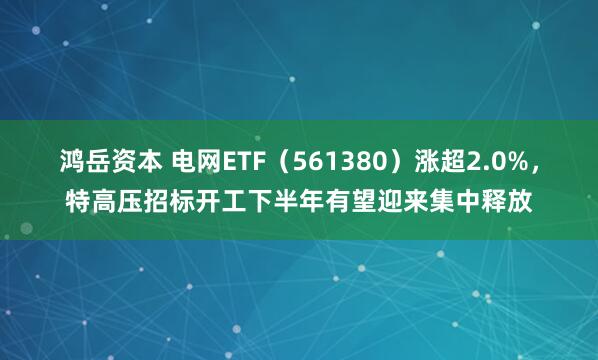 鸿岳资本 电网ETF（561380）涨超2.0%，特高压招标开工下半年有望迎来集中释放