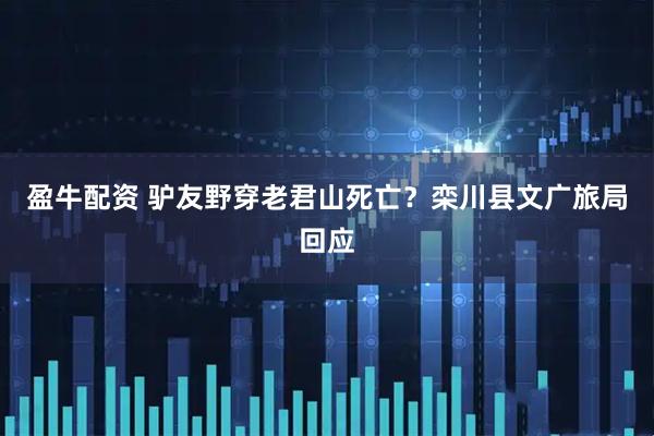 盈牛配资 驴友野穿老君山死亡?栾川县文广旅局回应
